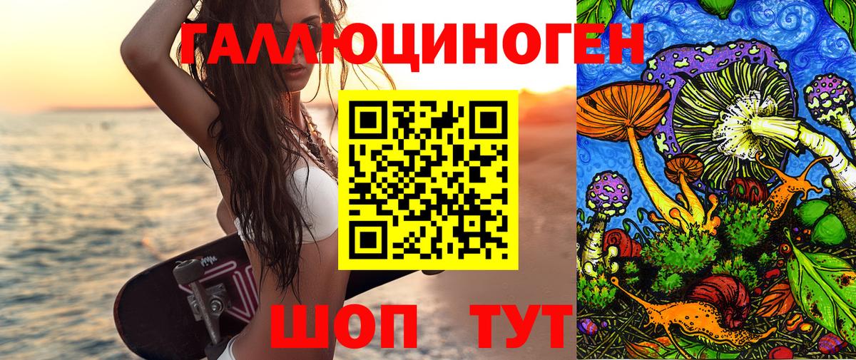 Псилоцибиновые грибы Cubensis Реутов