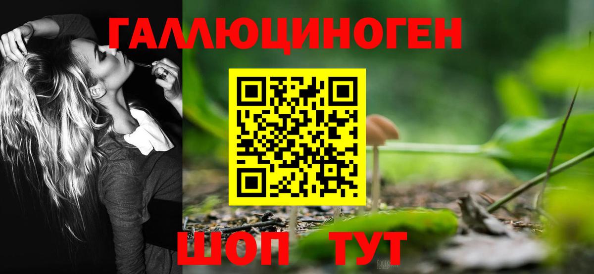Реутов  Псилоцибиновые грибы Psilocybine cubensis  Вход с VPN 